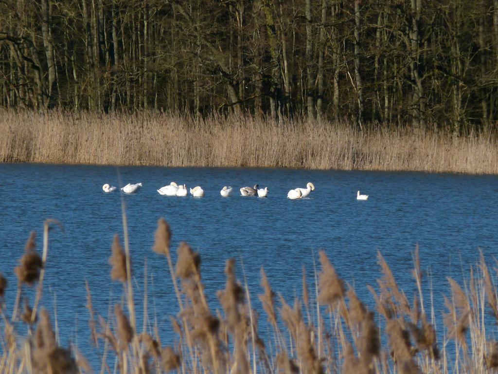 La Cabane Aux Secrets - Au Milieu De Nulle Part Outines Exteriör bild